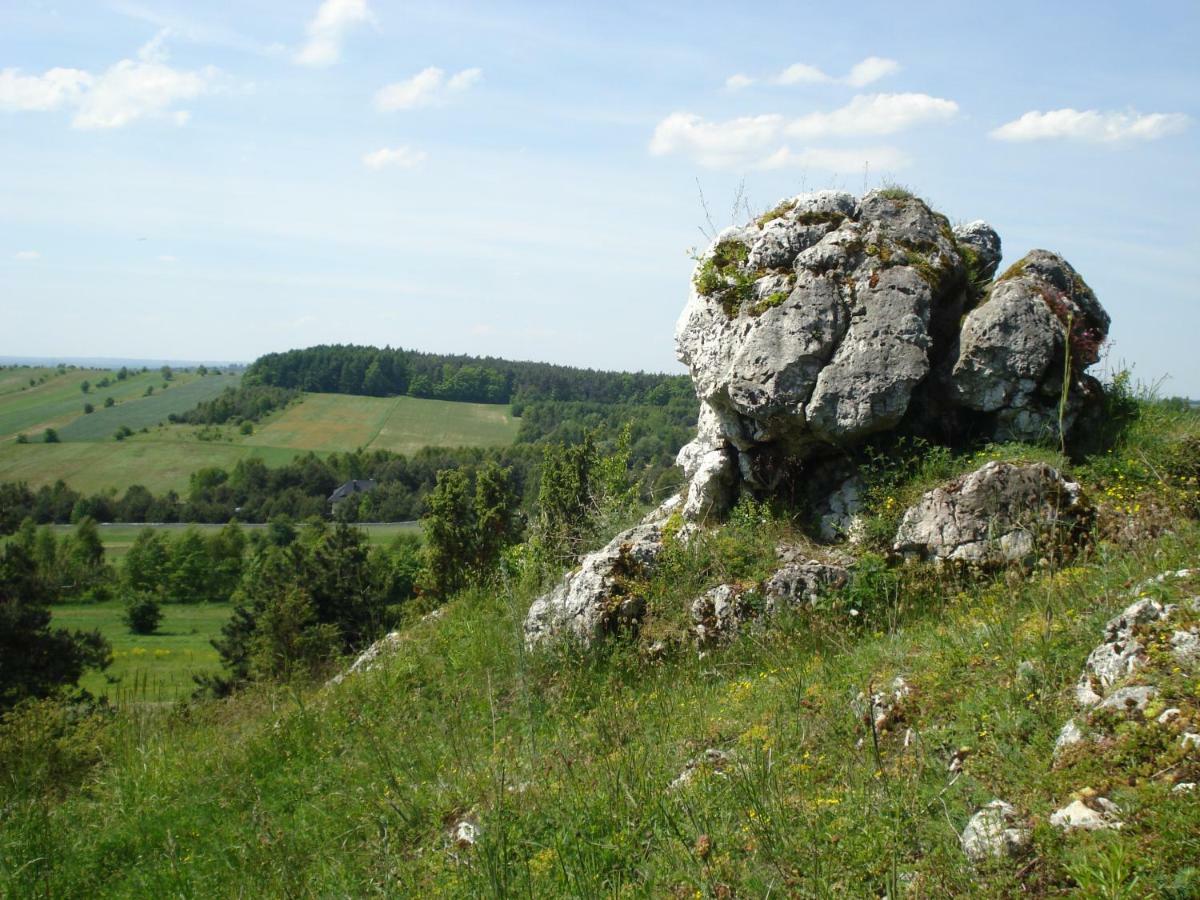 Villa Jura Pokoje Goscinne Zarki 외부 사진