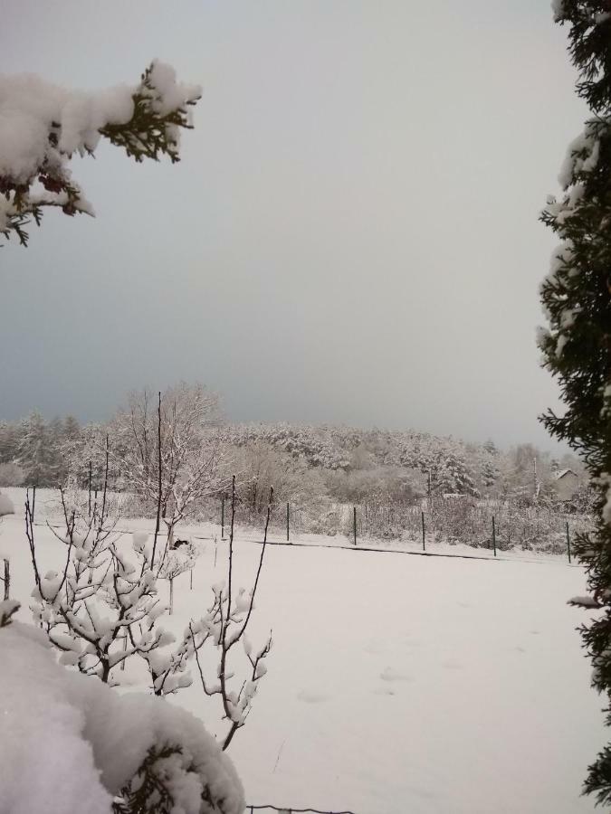 Villa Jura Pokoje Goscinne Zarki 외부 사진